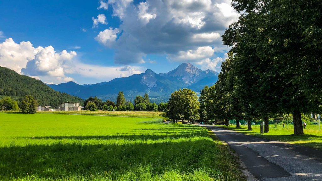 Die 7 besten Busreiseversicherungen 2026: Reisemängel, Rücktritt und Panne