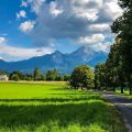 Die 7 besten Busreiseversicherungen 2026: Reisemängel, Rücktritt und Panne