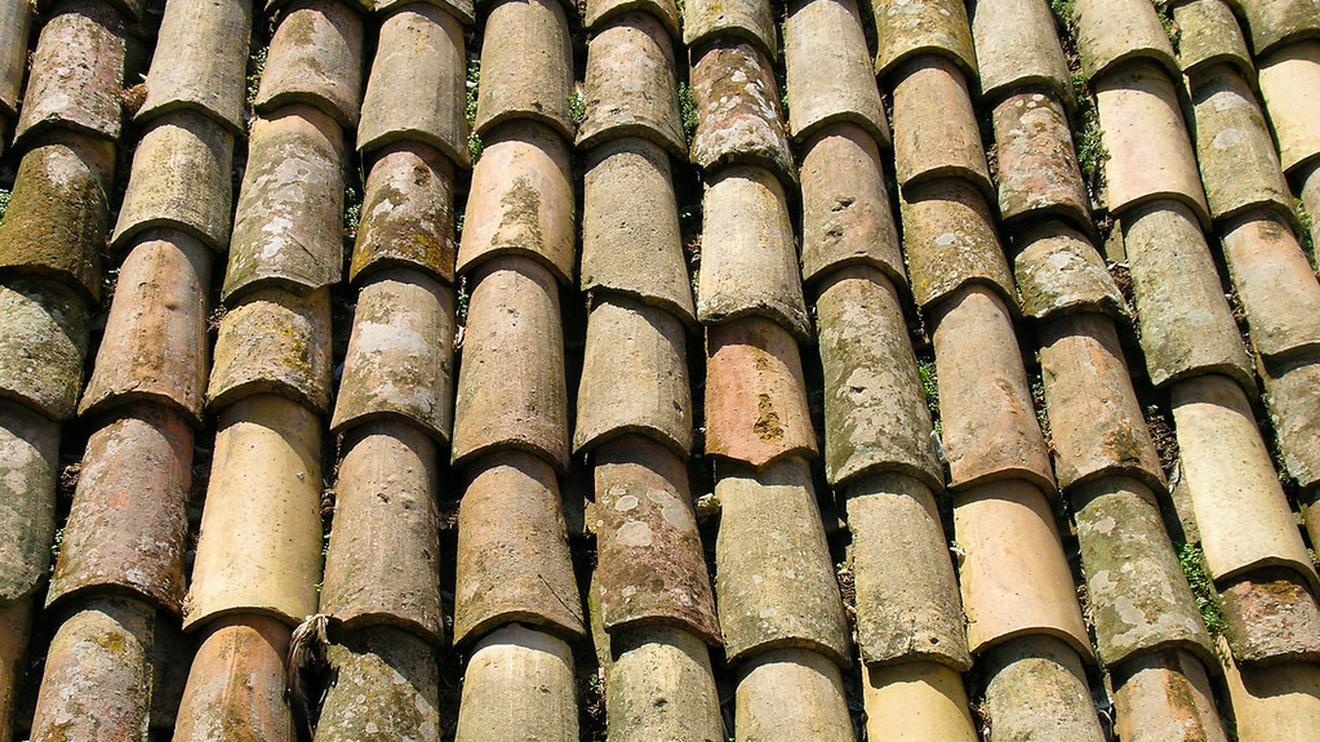 Dachschäden und Haftung: Wer trägt die Kosten bei Sturm, Feuchtigkeit oder Baumängeln?